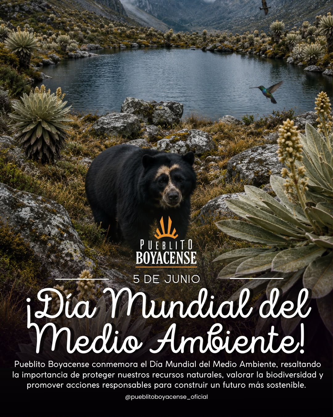 Día Internacional del Medio Ambiente 