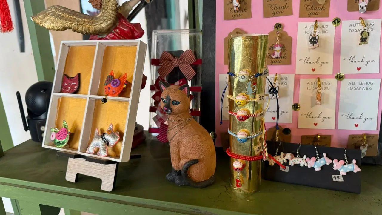 La Casa del Gato