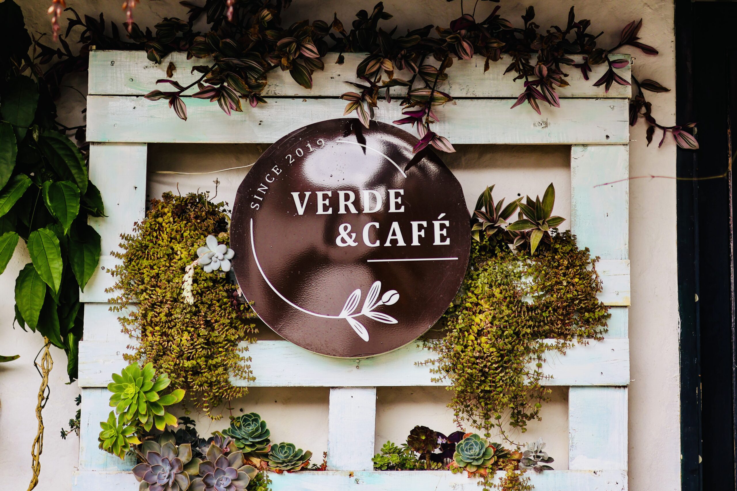 Verde y Café