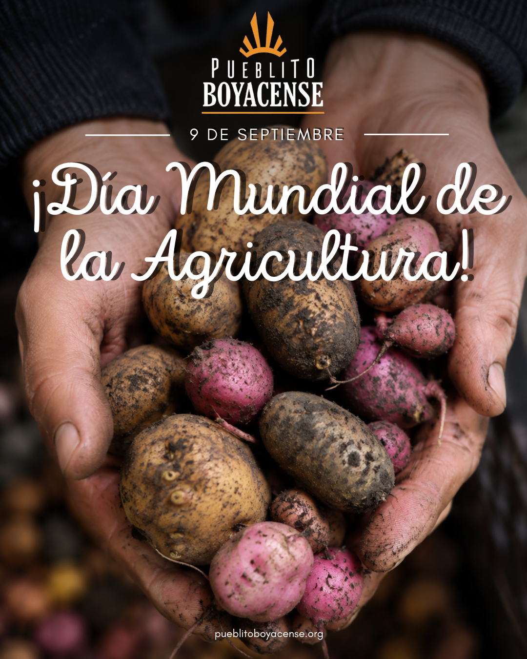 Día Mundial de la Agricultura